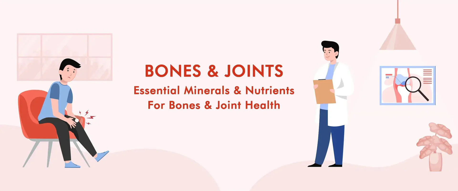 Bones & Joints